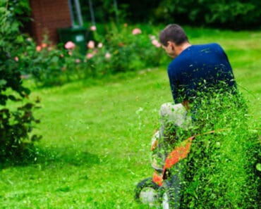 2025 Lawn Mower Blacklist: 9 Models That Could Turn Your Lawn into a Battlefield 2025 Lawn Mower Blacklist: 9 Models That Could Turn Your Lawn into a Battlefield